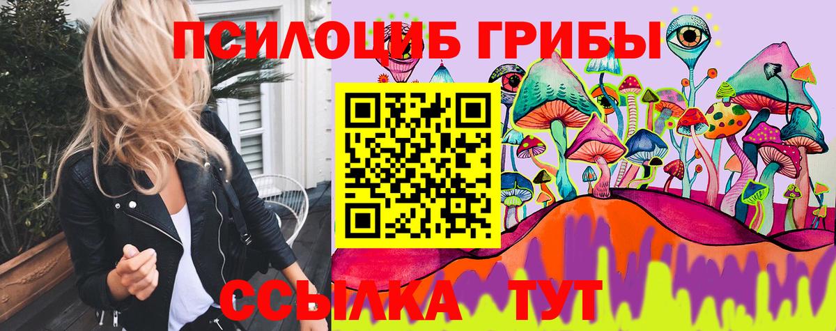 Псилоцибиновые грибы Cubensis  Вход с VPN  Лесозаводск  Галлюциногенные грибы Cubensis 